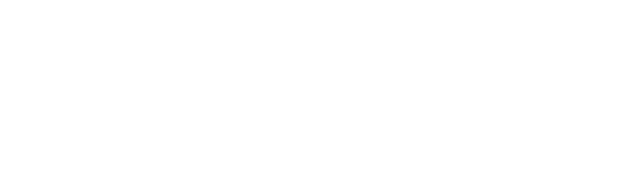 SMBTeam-RGB_Logo